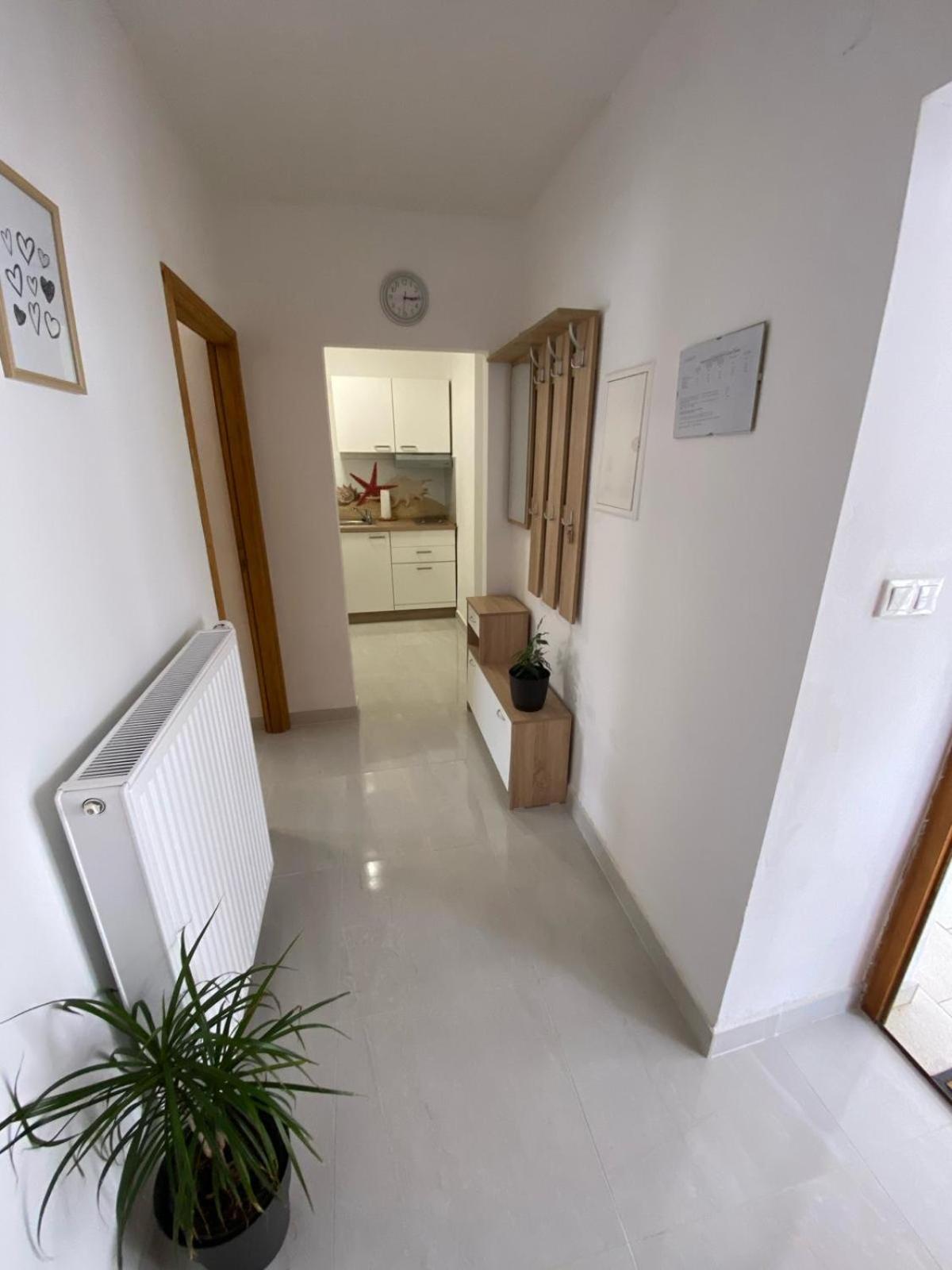 Apartmani Radosav Silo  Bagian luar foto